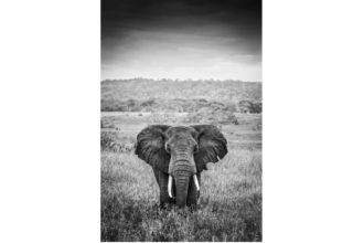 Ausstellung in Palma de Mallorca