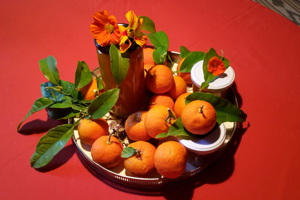 Pomeranzen aus Mallorca