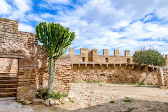 Markt auf Mallorca