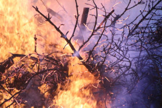 Mallorca und die Feuer