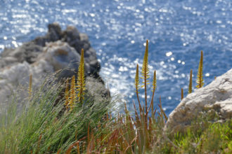 Öko-Steuer Mallorca
