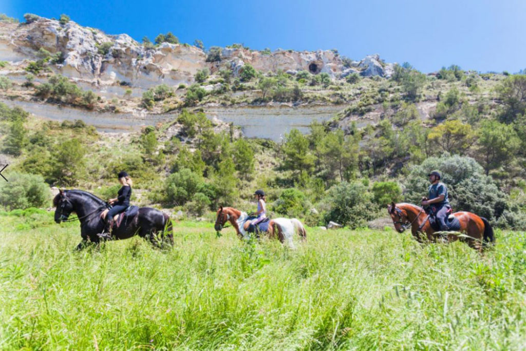 Menorca zu Pferd erkunden